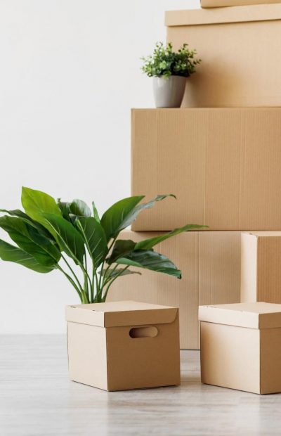 AdobeStock_466020572-e1746789632223 (1)