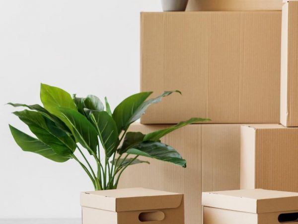 AdobeStock_466020572-e1746789632223 (1)